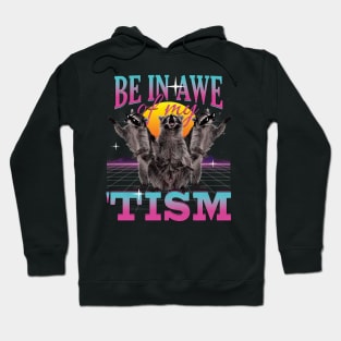 Be In Awe Of My 'Tism Autism Funny Raccoons Hoodie